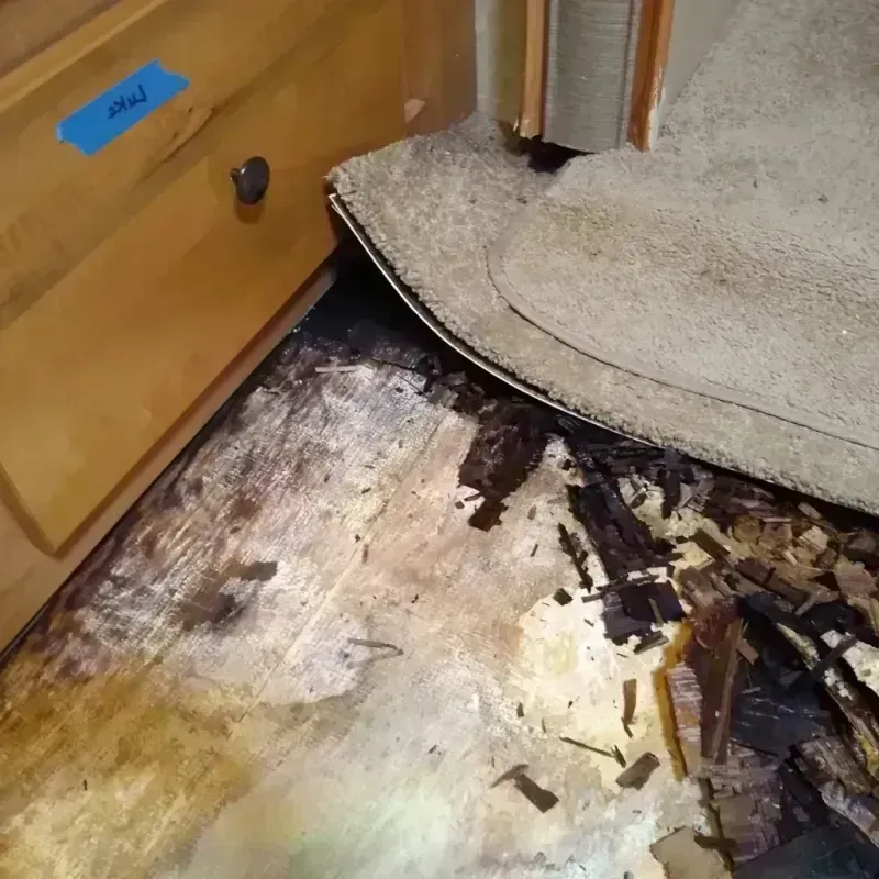 Wood Floor Water Damage in Phillips County, MT